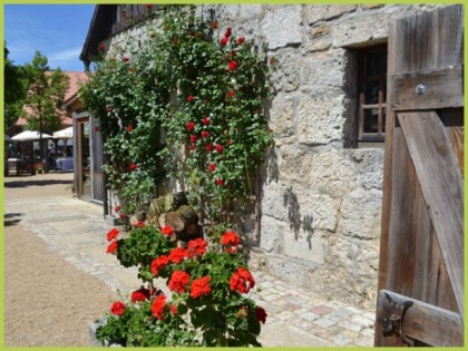照片: Wiesent-Garten